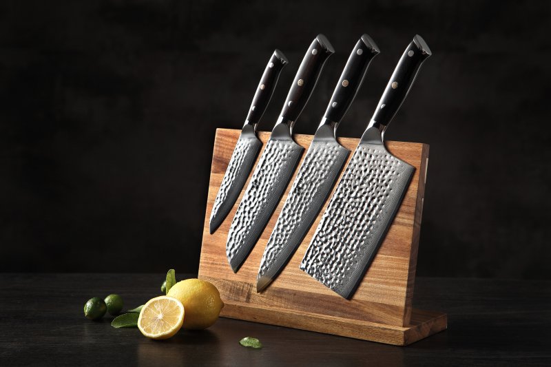 Set di 4 coltelli Xinzuo B13H - B13H-A4