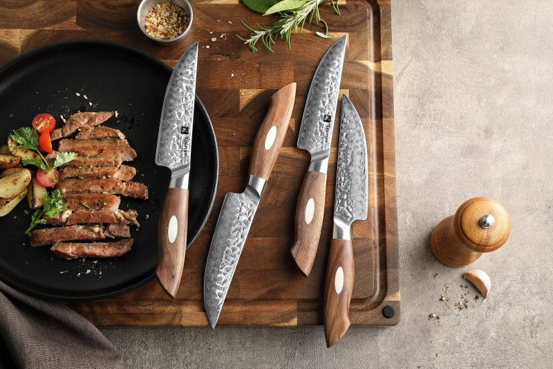Set di 4 coltelli da bistecca Xinzuo B46W - B46W-4NP