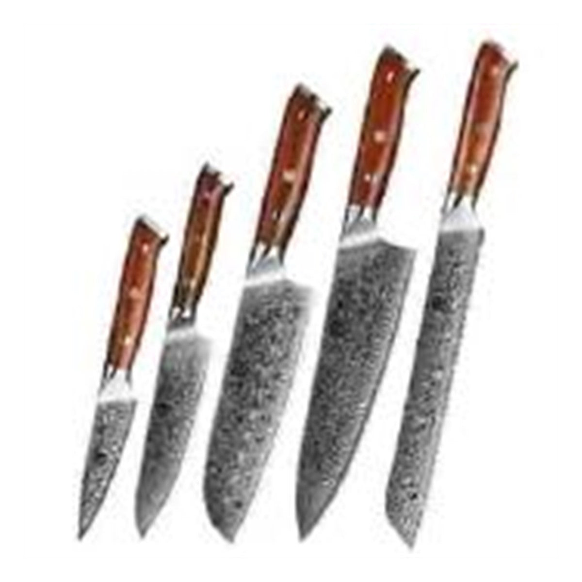 Set di 5 coltelli Xinzuo B13R (cod. B13R-A5) - immagine di riferimento dal listino Xinzuo
