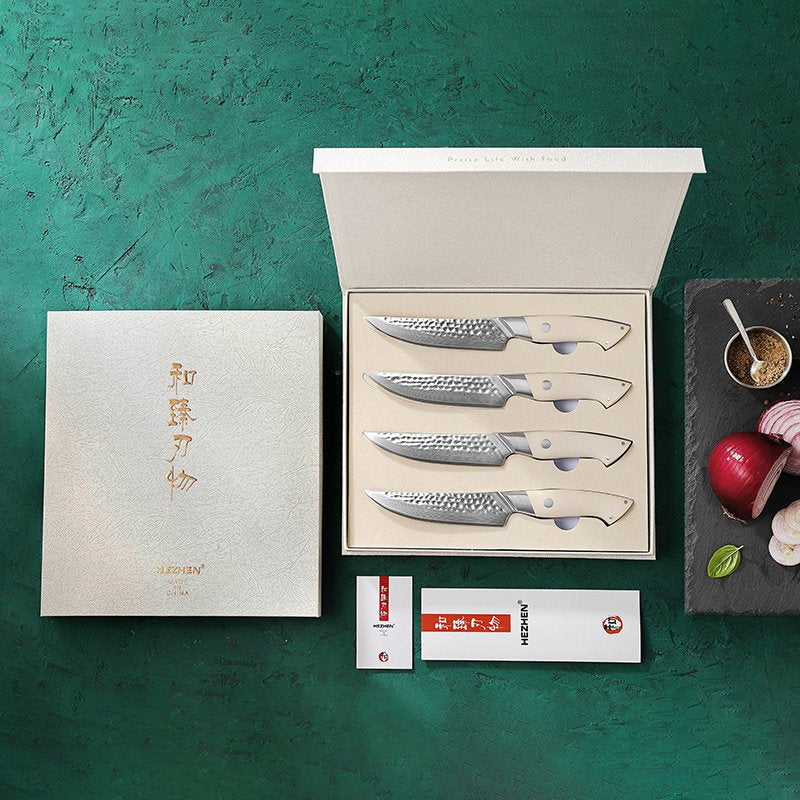 Set di 4 coltelli Xinzuo B38H - B38H-4NP