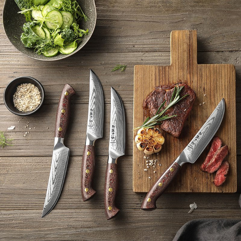 Set di 4 coltelli da bistecca Xinzuo X02M - X02M-4NP
