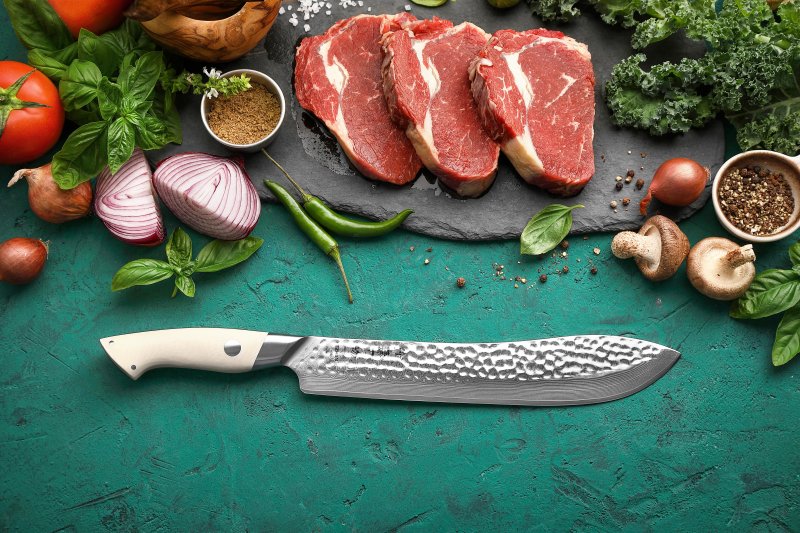 Coltello da macellaio Xinzuo B38H - 10" - B38H-10TR