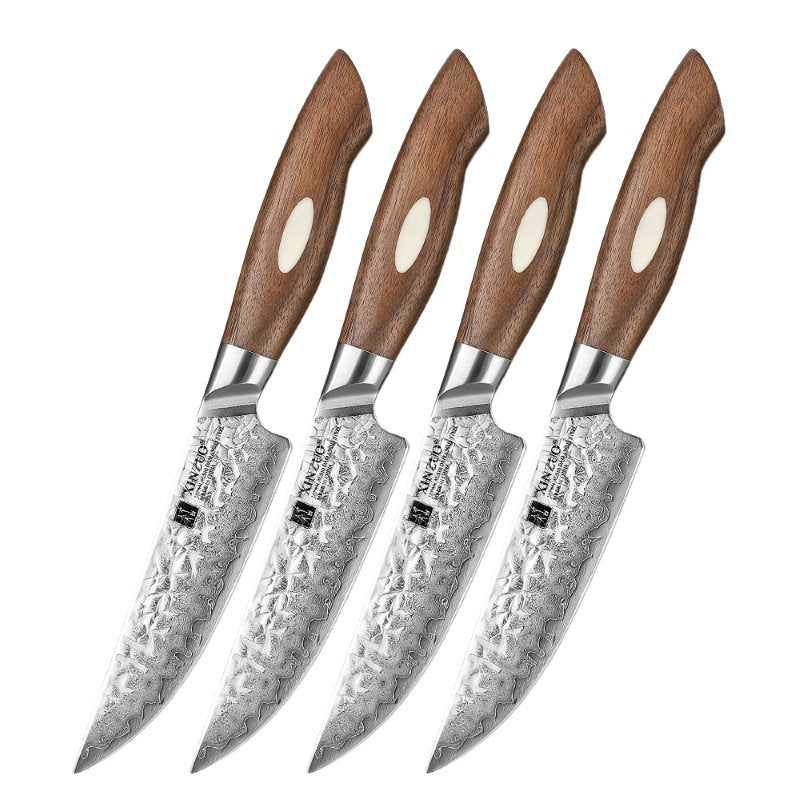 Set di 4 coltelli da bistecca Xinzuo B46W - B46W-4NP
