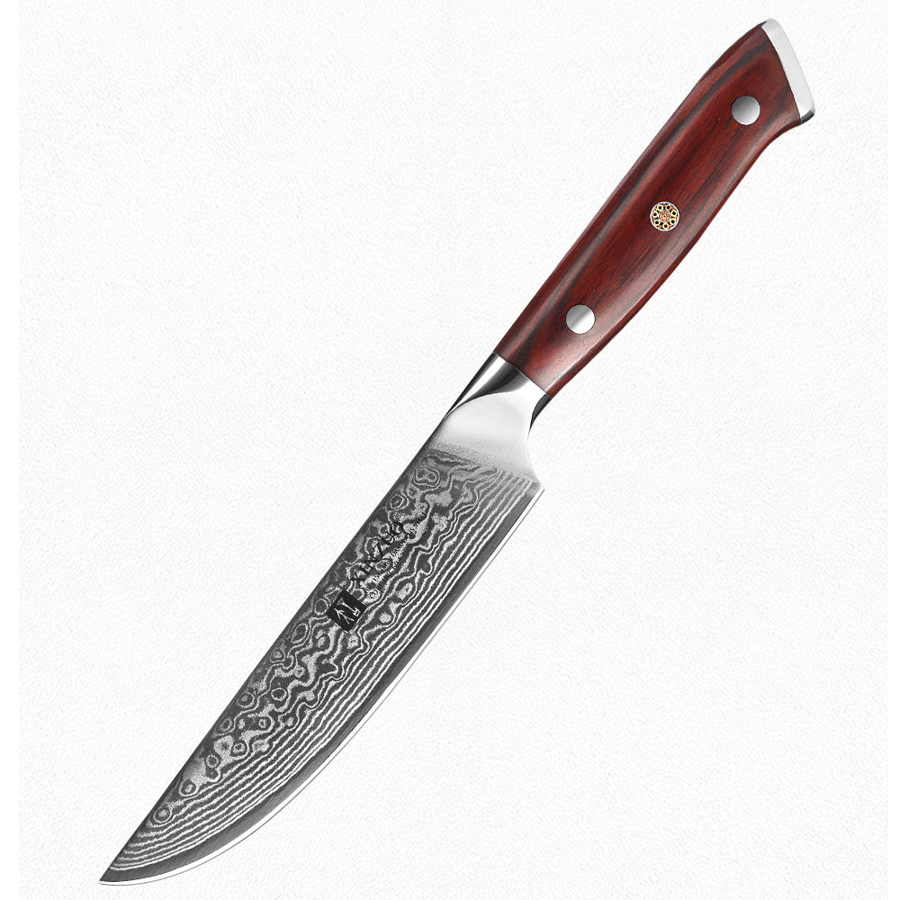 Set di 4 coltelli Xinzuo B13R