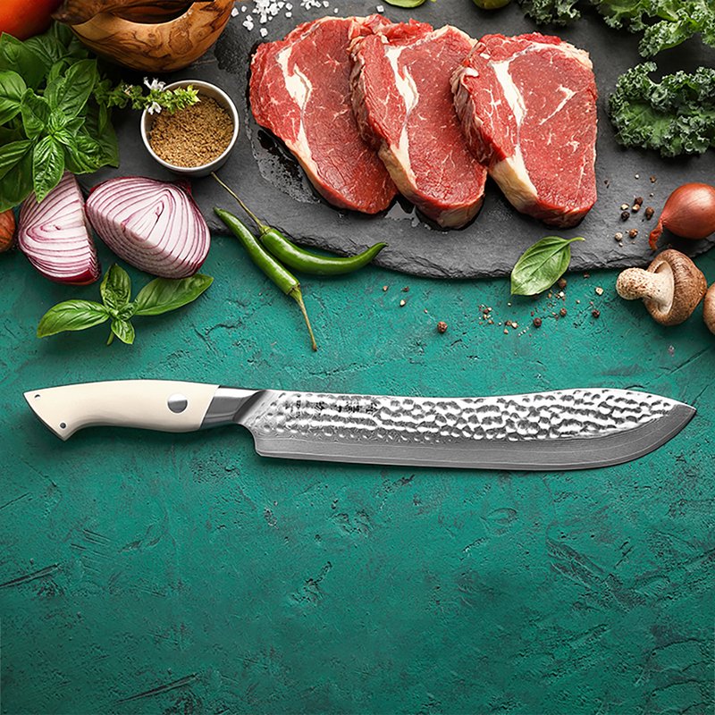 Coltello da macellaio Xinzuo B38H - 10" - B38H-10TR