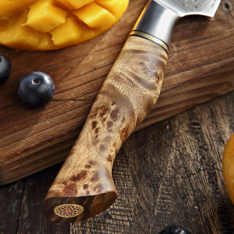 Coltello universale Xinzuo B30 - 5" - B30-WY
