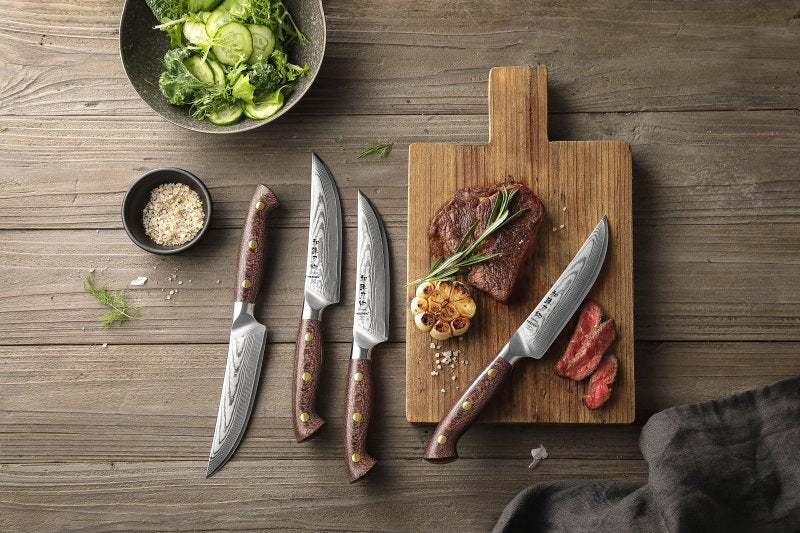 Set di 4 coltelli da bistecca Xinzuo X02M - X02M-4NP