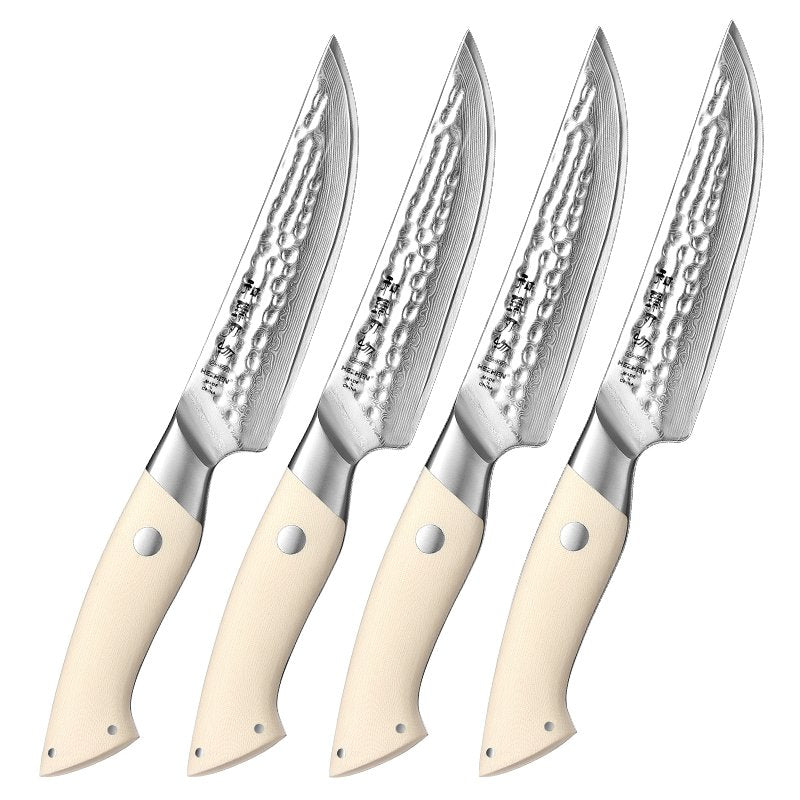 Set di 4 coltelli Xinzuo B38H - B38H-4NP