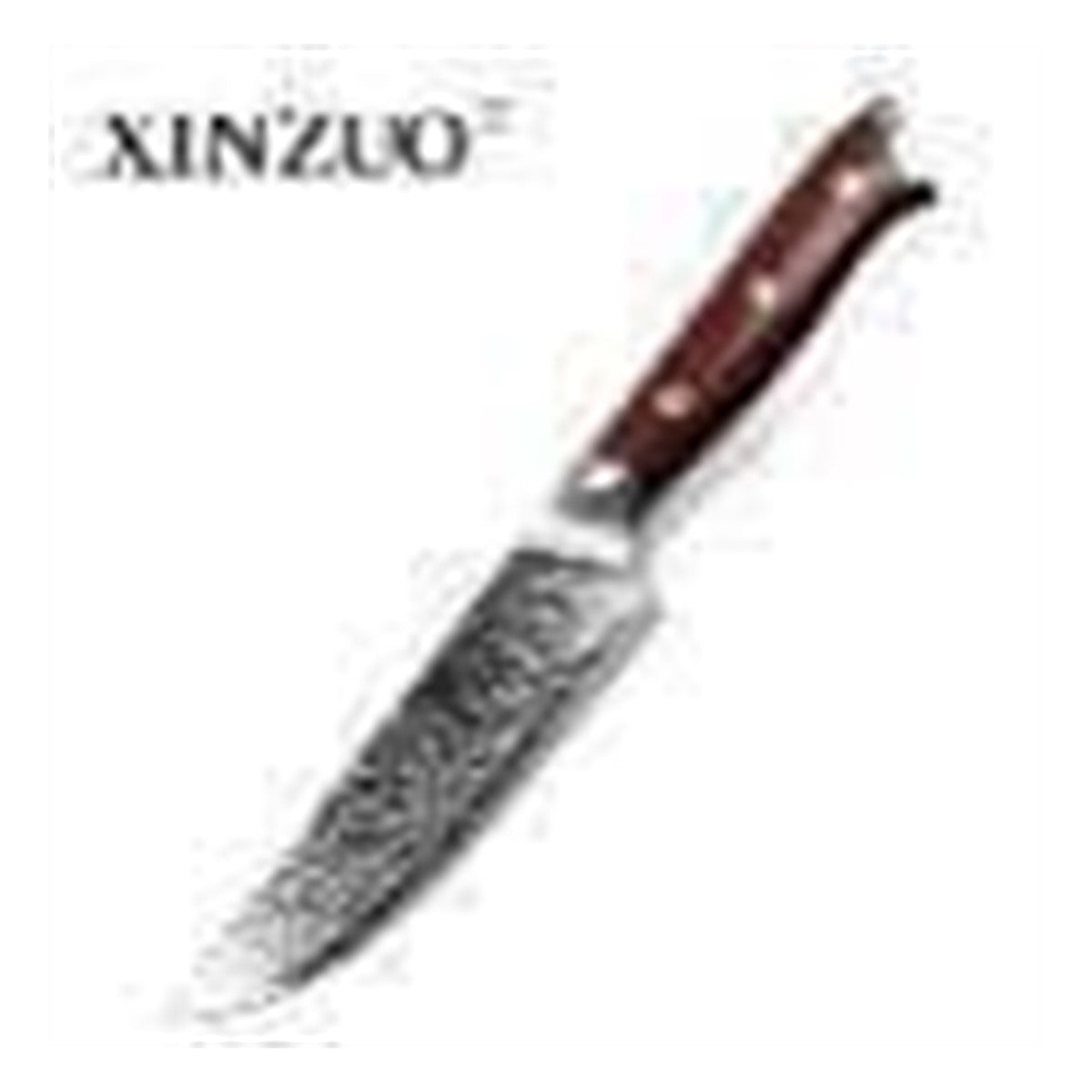 Set di 4 coltelli Xinzuo B13R (cod. B13R-4NP+) - immagine di riferimento dal listino Xinzuo