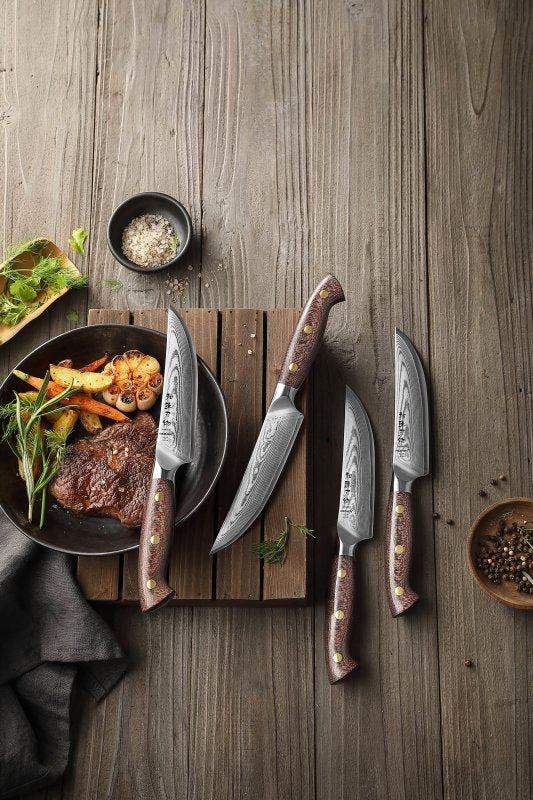Set di 4 coltelli da bistecca Xinzuo X02M - X02M-4NP