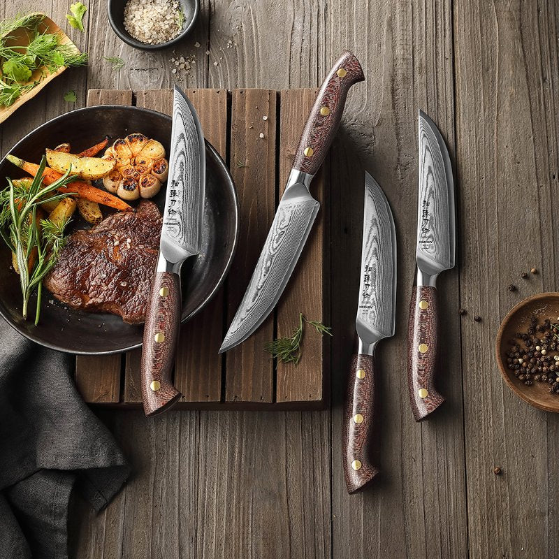 Set di 4 coltelli da bistecca Xinzuo X02M - X02M-4NP
