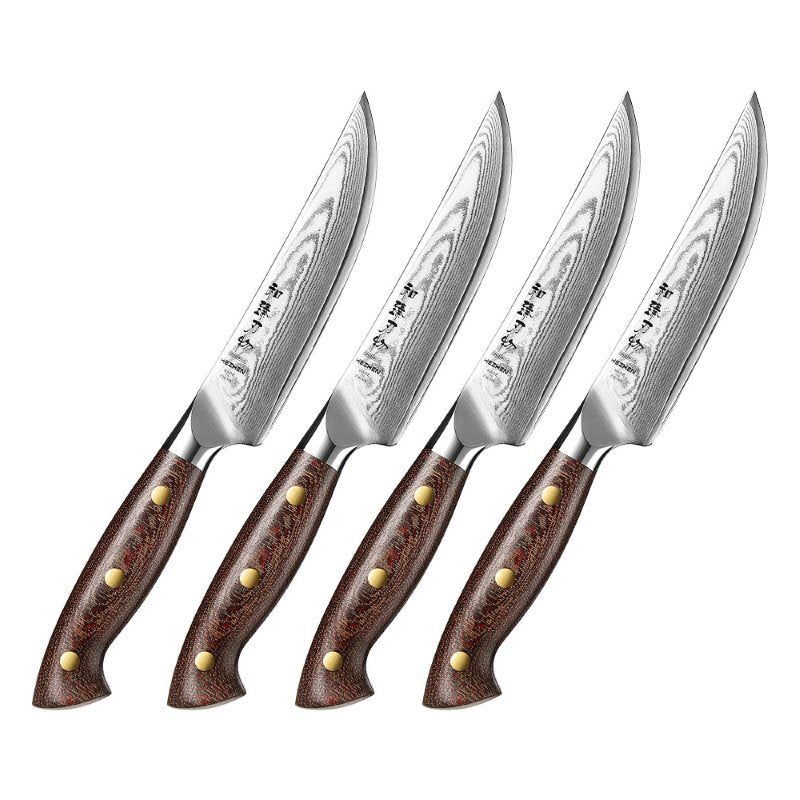 Set di 4 coltelli da bistecca Xinzuo X02M - X02M-4NP