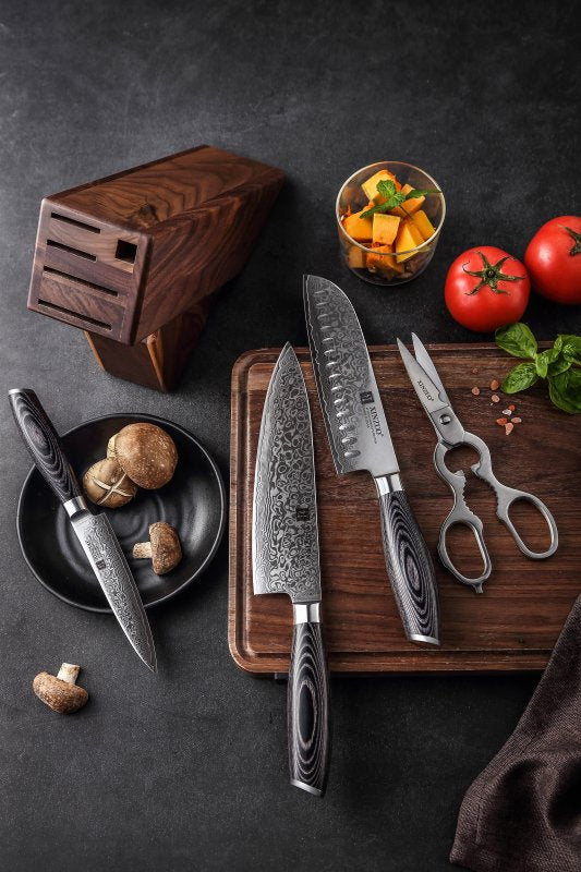 Set di 5 coltelli Xinzuo B20 (cod. B20-H5) - B20-H5