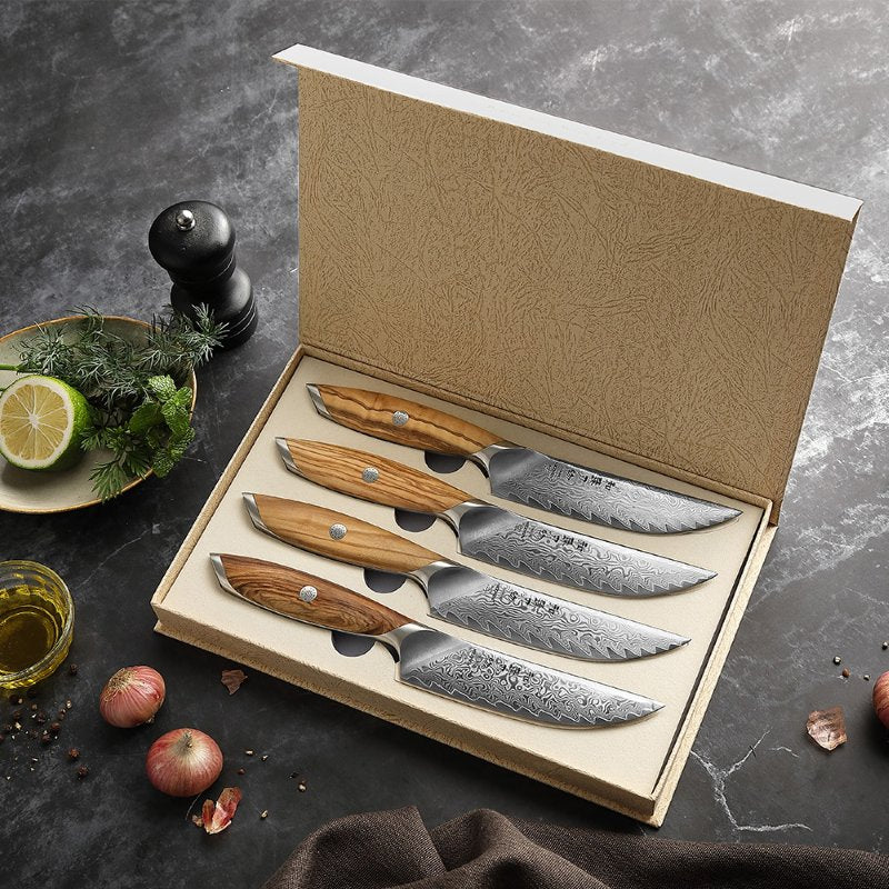 Set di 4 coltelli Xinzuo X01 - X01-4NP