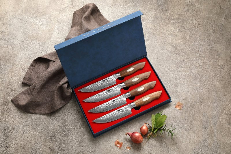 Set di 4 coltelli da bistecca Xinzuo B46W - B46W-4NP
