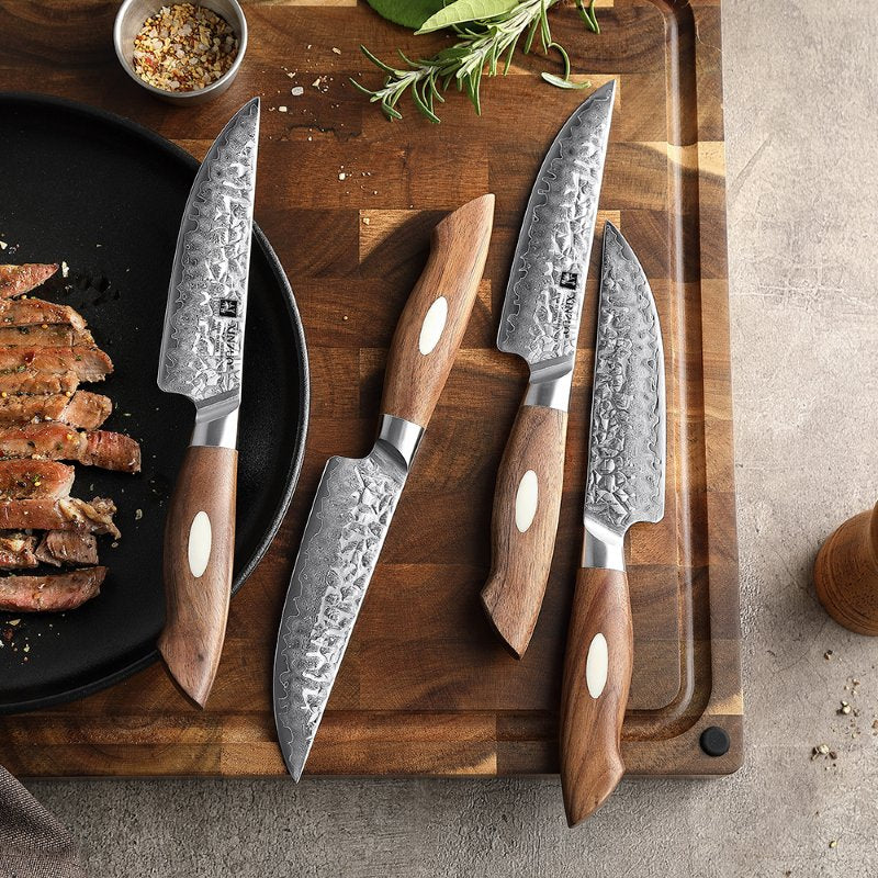 Set di 4 coltelli da bistecca Xinzuo B46W - B46W-4NP