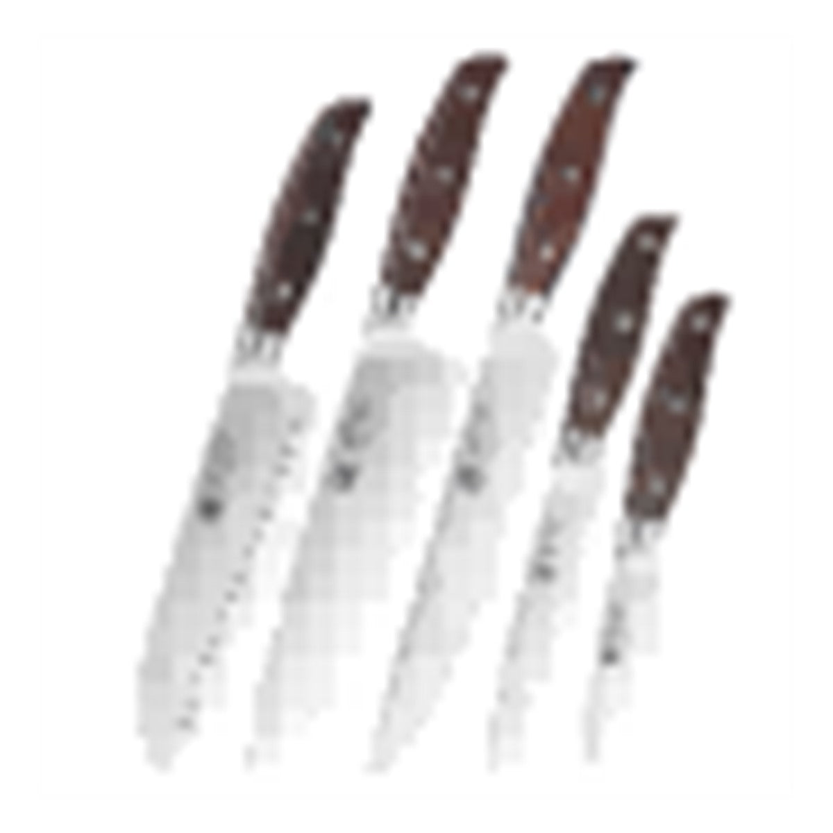 Set di 5 coltelli Xinzuo B35 (cod. B35-A5) - immagine di riferimento dal listino Xinzuo