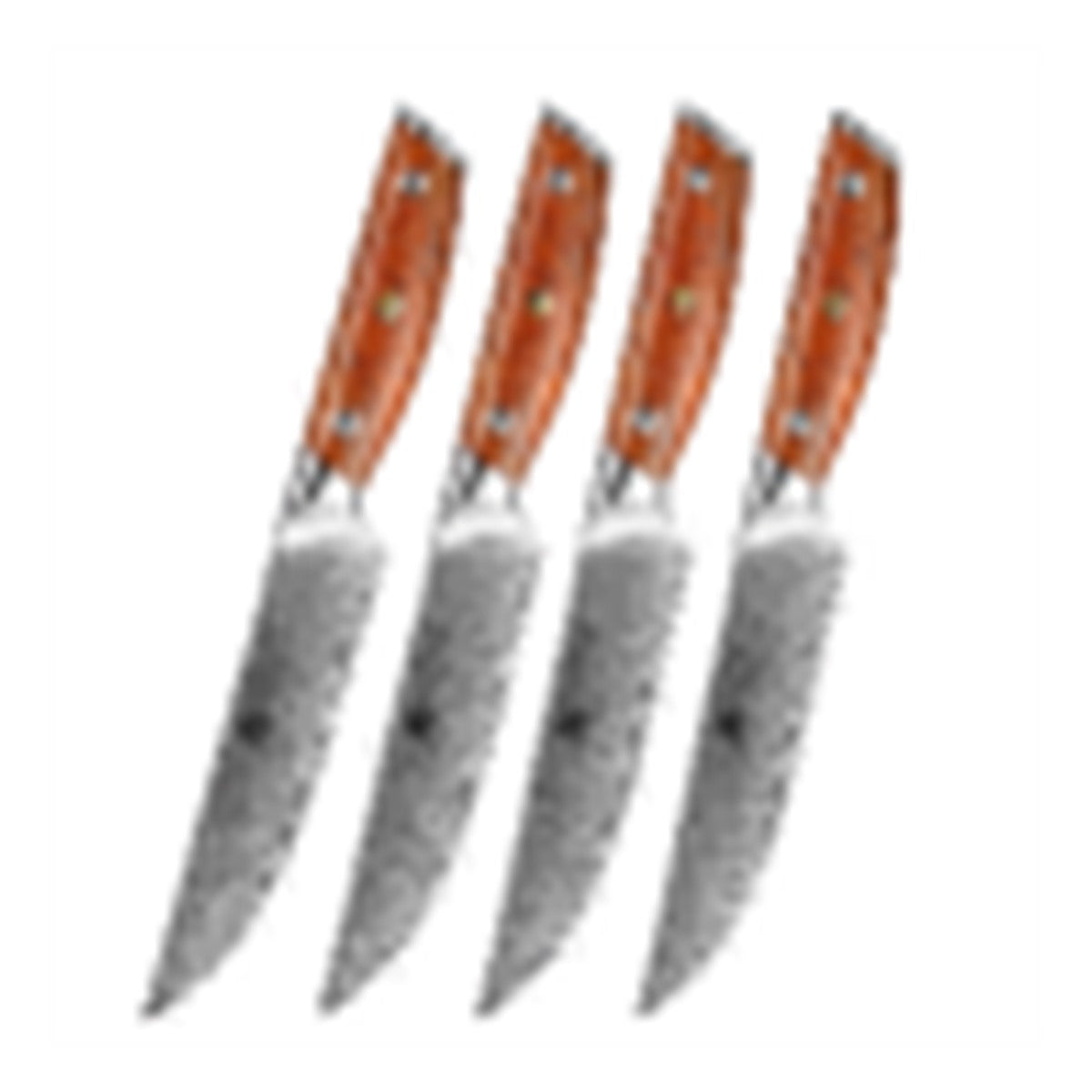 Set di 4 coltelli da bistecca Xinzuo B27 - immagine di riferimento dal listino Xinzuo