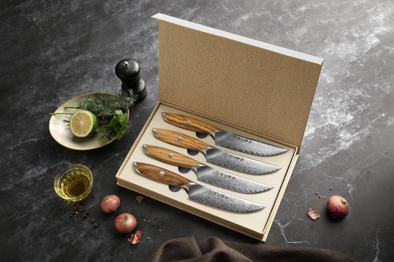 Set di 4 coltelli Xinzuo X01 - X01-4NP